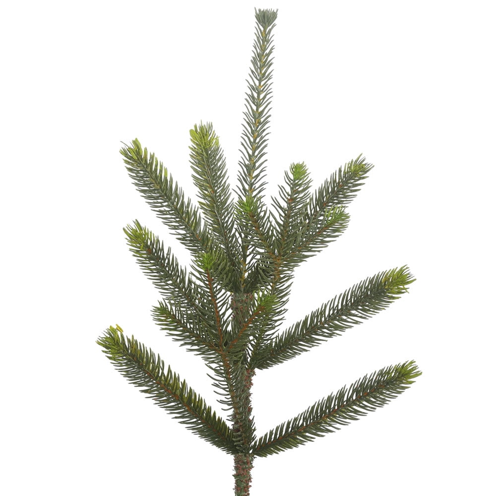 Vickerman 5' Bed Rock Pine Artificial Christmas Tree, Unlit